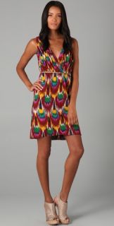 alice + olivia Alameda Ikat Print Dress