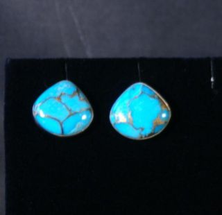 Jay King MINE FINDS Kingman Turquoise w/ Bronze Matrix Earrings