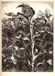John Steuart Curry WPA 1939 Print " Corn " Kansas  