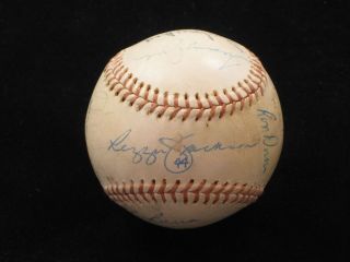 1981 New York Yankees Team Signed Baseball 15 Sigs Yogi Berra Reggie Jackson  