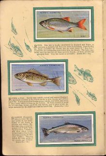 Tobacco Card Album Cards John Player Freshwater Fishes Coarse Fish 1933  