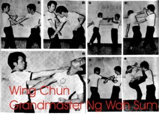 Martial Arts Wing Chun Hung Gar Choy Li Fut Tai Chi Eagle Claw Kung Fu RARE  