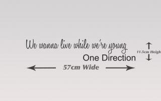 One Direction Wall Quote Wall Sticker Live While We're Young Wall Sticker 25  