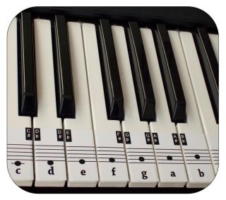 Beginners Piano Keyboard Music Key Note Stickers