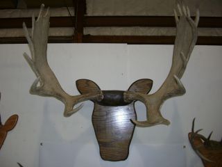 Paddle Mounting Plaque Kit Works on Sheds Deer Elk Available