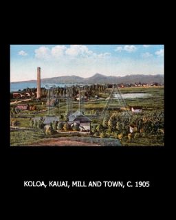 Hawaii Plantation Art Koloa Kauai Mill and Town 3207