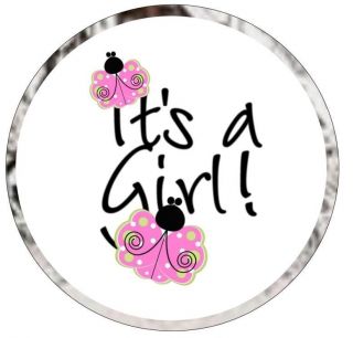 108 Girl Baby Shower Favor Kiss Mint Labels Stickers