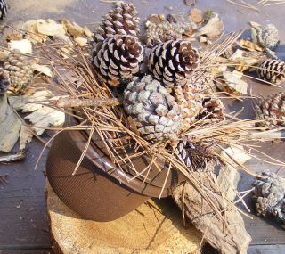 Pine Cone and Straw Small Geocaching Container Geocache Cache Evil GPS