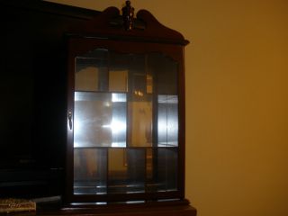 LARGE WALL CURIO CABINET SHADOW BOX DISPLAY CASE CHERRY WOOD GLASS