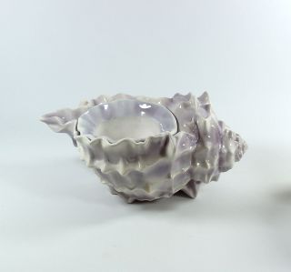 Large Seashell Conch Self Watering African Violet Pot Planter Purple
