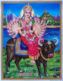 Jai Shree Vihat Maa Mata Gujarati Goddess Poster 9x11 047