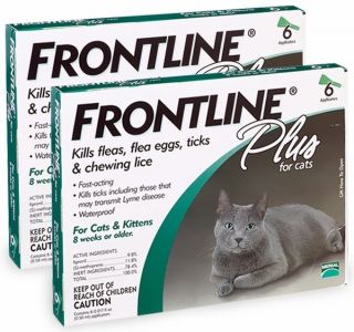 12 Month Supply of Frontline Plus for Cats