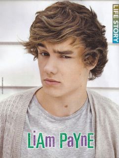 One Directions Liam Payne Raised Eyebrows 9x11 Mini Pin Up B w