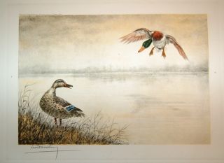 Signed Leon Danchin Color Duck Landing Print RARE