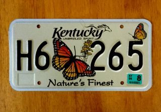 Kentucky Natures Finest License Plate Tag Butterfly Graphic Wildlife