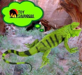 Safari Ltd Reptiles Iguana Adult Lizards 267729 New