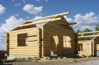 Log Cabin Home Shell Kit Logs 16ft x 20ft