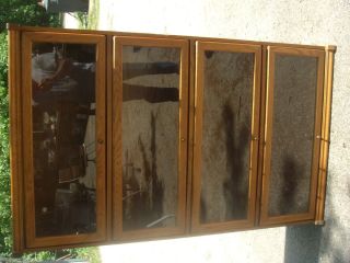 Glass Door Libray Bookcase