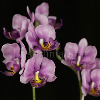 Purple Phaleanopsis Orchid Miniature Clay Flower Garden Wedding Favor