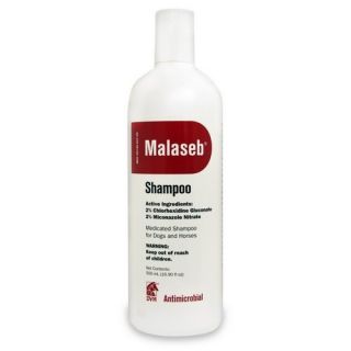 Malaseb Reg Medicated Shampoo 16 9 oz 500 Ml