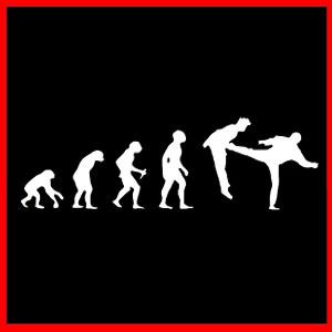 Martial Arts Karate Sambo Muay Thai Evolution T Shirt