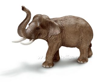 Schleich Elefante Asiatico Maschio Cod 14653