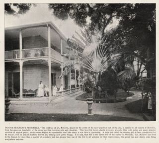 Hawaii Honolulu McGrew Home Quality Antique 1890s Print