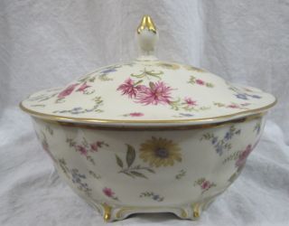 Gorgeous Rosenthal Florida 20 Covered Footed Dish