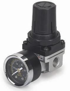 Mini Pneumatic Air Pressure Regulator M5 BSPT w Gauge 100L MIN