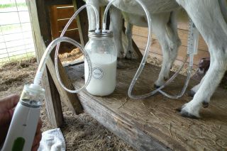 Goat Sheep Cow Battery Powered Vacuum Milk Machine. For European