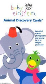 Animal Discovery Cards Beautiful Nature Photographs and Animals Facts