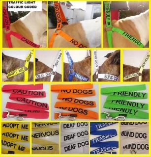 STRONG DOG COLORED COLLAR LEAD HARNESS PREVENTS DOG ACCIDENTS NOW