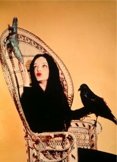 THE ADDAMS FAMILY TV Poster Morticia The Munsters Lurch Fester Goth