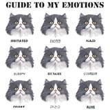 Cat T Shirt Guide To My Emotions Cat Profile Faces Funny Tee