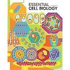 Essential Cell Biology by Julian Lewis, Dennis Bray and Bruce Alberts