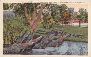 Suwanee River Florida alligator quartet singing Cochrane Co old