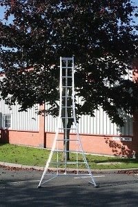Newly listed Workware Aluminium tripod ladder 3.6m 12ft Tree Surgeon