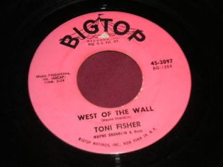 Toni Fisher What Did I Do/West of the Wall 45