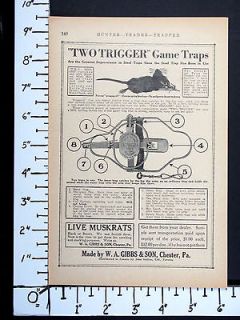 1921 GIBBS Two Trigger Game Fur Animal Traps magazine Ad trapping