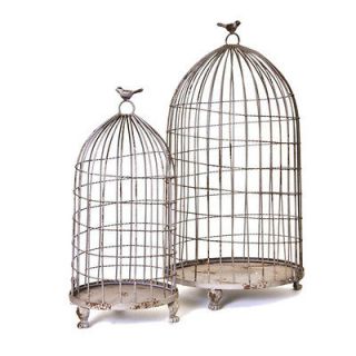 Bird Cage Decorative Aviary   Grey Antique Wash Cloche w Bird Handle