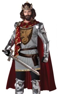 Adult Mens King Arthur Medieval Knight Halloween Costume