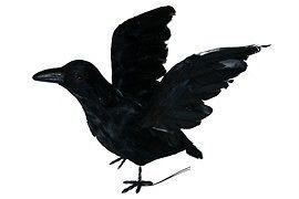 Inch Feather Artificial Crows Fake Decorative Craft Halloween Crow New
