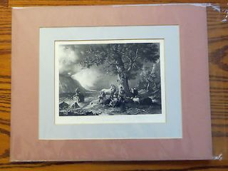 Family Kept Safe From Storm Tree of Shelter 1859 Horse Cattle Sheep