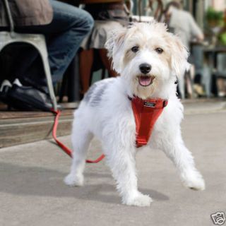 Kurgo Small (10 25 lb) Dog TruFit Harness & Leash RED