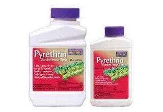 Bonide Pyrethrin Garden Insect Spray   3 Pack   (16 Oz. Concentrates)
