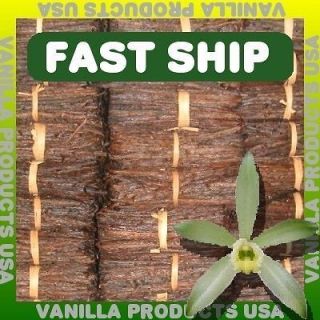 30 Extract Grade B Madagascar Planifolia Bourbon Vanilla Beans 6~7