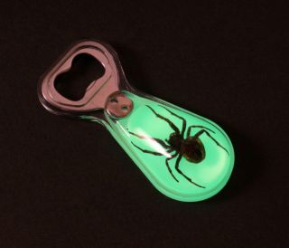 Real Spider Bottle Opener Glow in Dark with Magnet