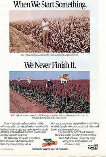 Newly listed 1991 Dekalb Hybrid Sorghum Seed Ad