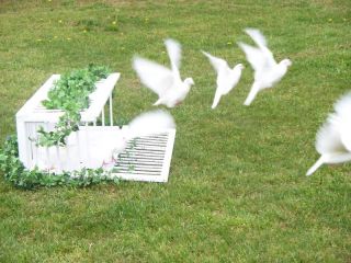 Remote Control White Dove Release Basket Bird Cage Box