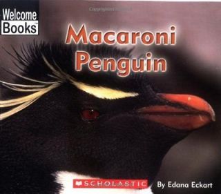 Macaroni Penguin (Welcome Books) Edana Eckart